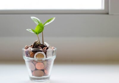 Importanța transparenței financiare în economie