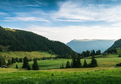 Importanța scalării unei afaceri