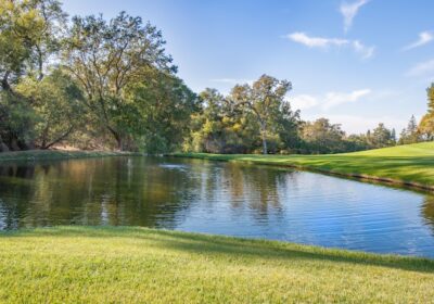 Timpul și răbdarea: două virtuți prețioase – Timpul este cel mai bun medicament – Yiddish proverb