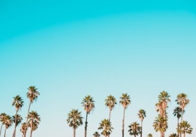 Cum să îți adaptezi modelul de business